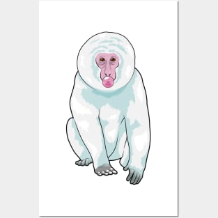 Monkey Chewing gum Posters and Art